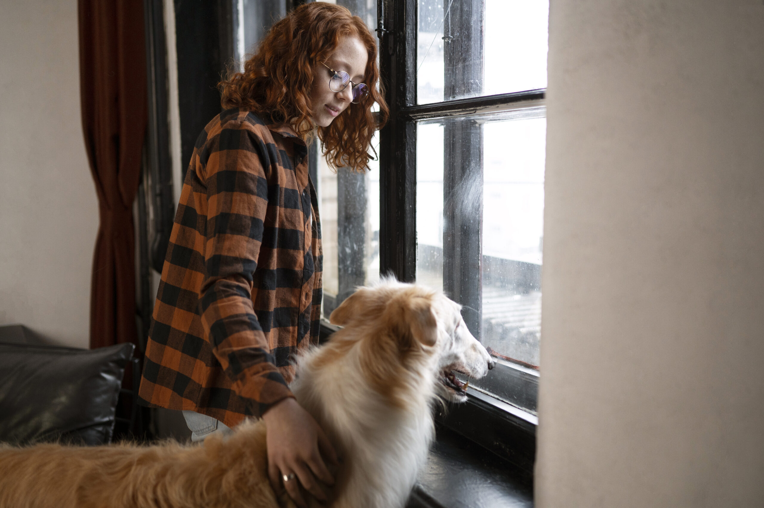 Những Lưu Ý Khi Nuôi Chó, Mèo Trong Chung Cư